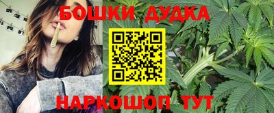 гидра Тулун