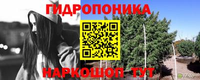 гидра Тулун