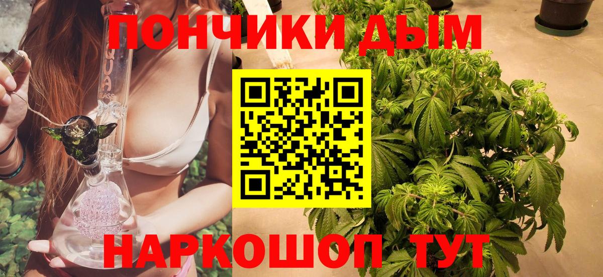 Борисоглебск  Бошки Шишки THC 21%  Каннабис план  Марихуана ГИДРОПОН  Вход с VPN 
